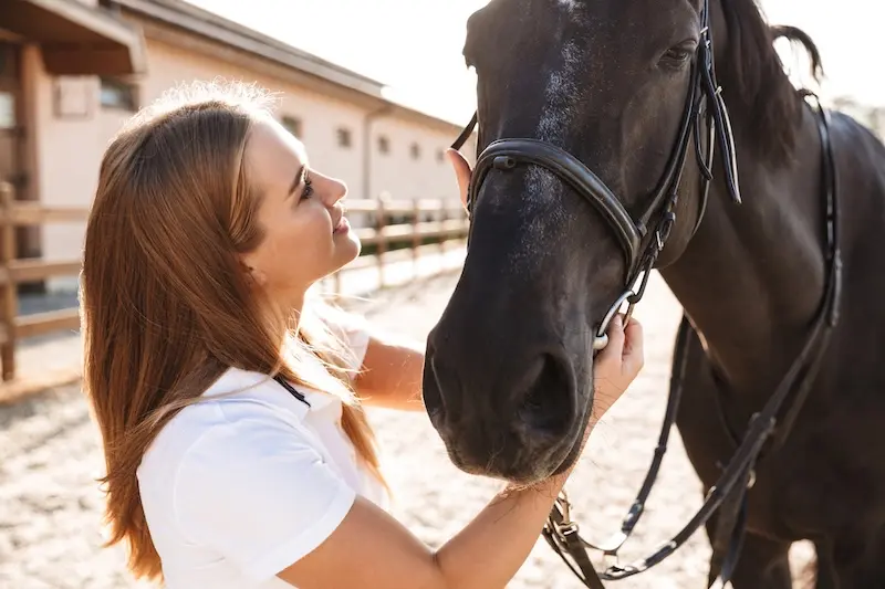 Can you learn better leadership by working with horses?